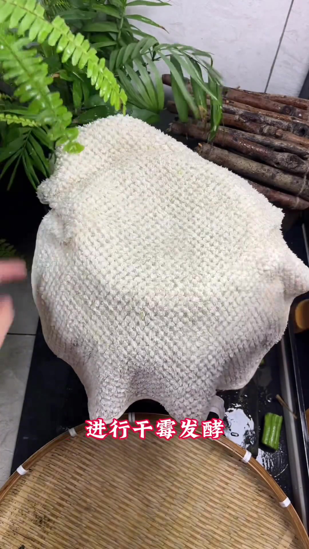 苋菜梗无盐干霉版做法参考，视频赶拍请见谅