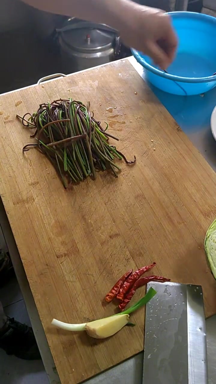 山野菜广东菜嫩根才好吃,炒着香到舔盘!