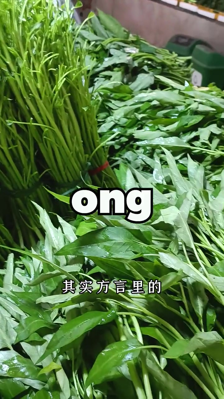 为何广西把空心菜称作ong菜？