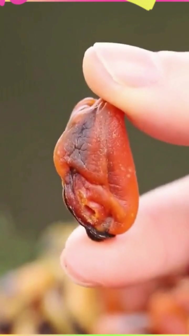 凉拌淡菜干你吃过吗?