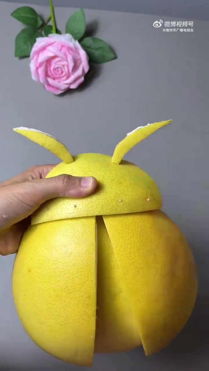 「有趣!柚子皮DIY瓢虫」吃完的柚子皮不要扔,和孩子一起制作一只超大瓢虫吧。简单好学,一起
