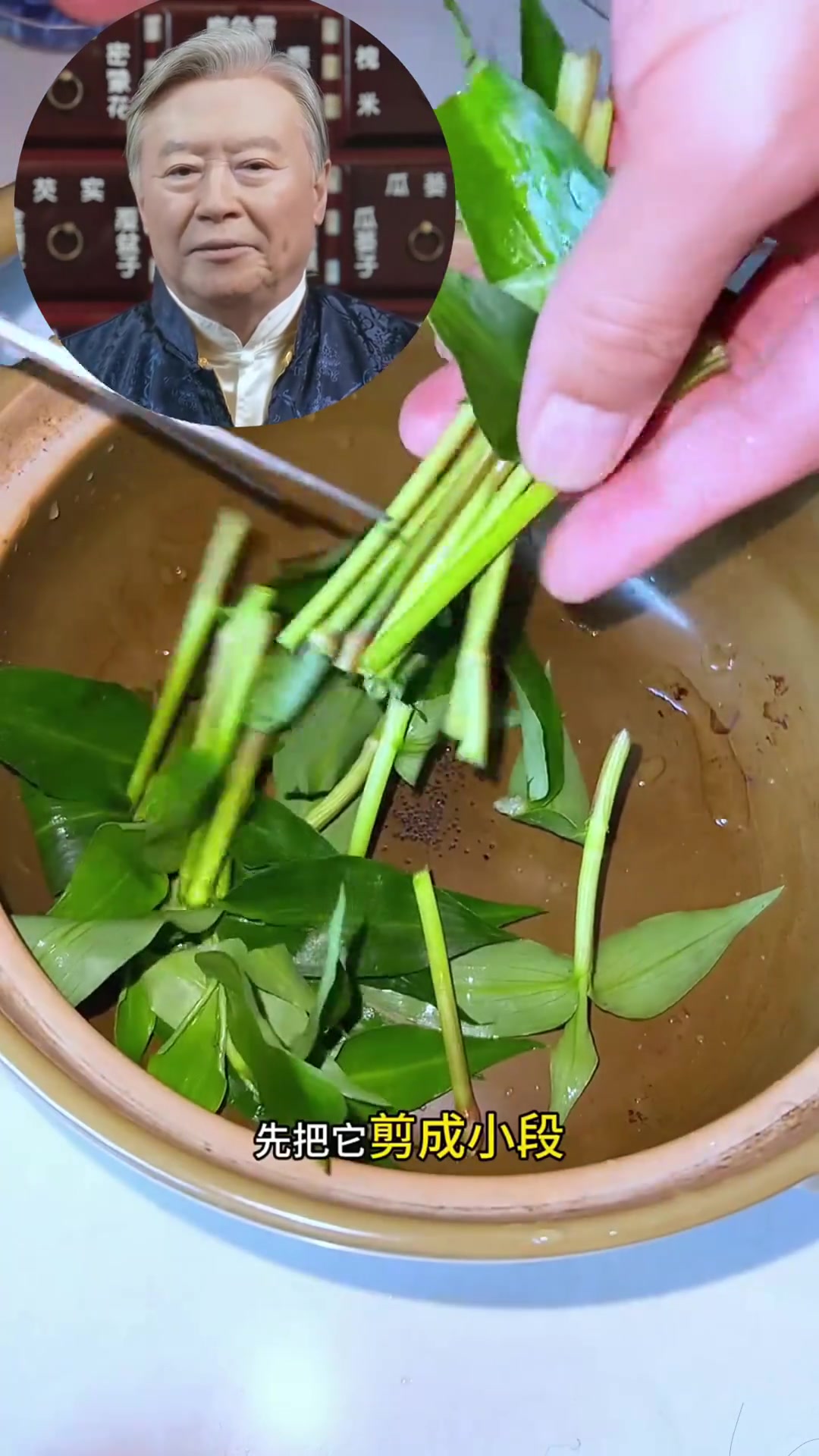 你认识鸭跖草吗？看看它的作用