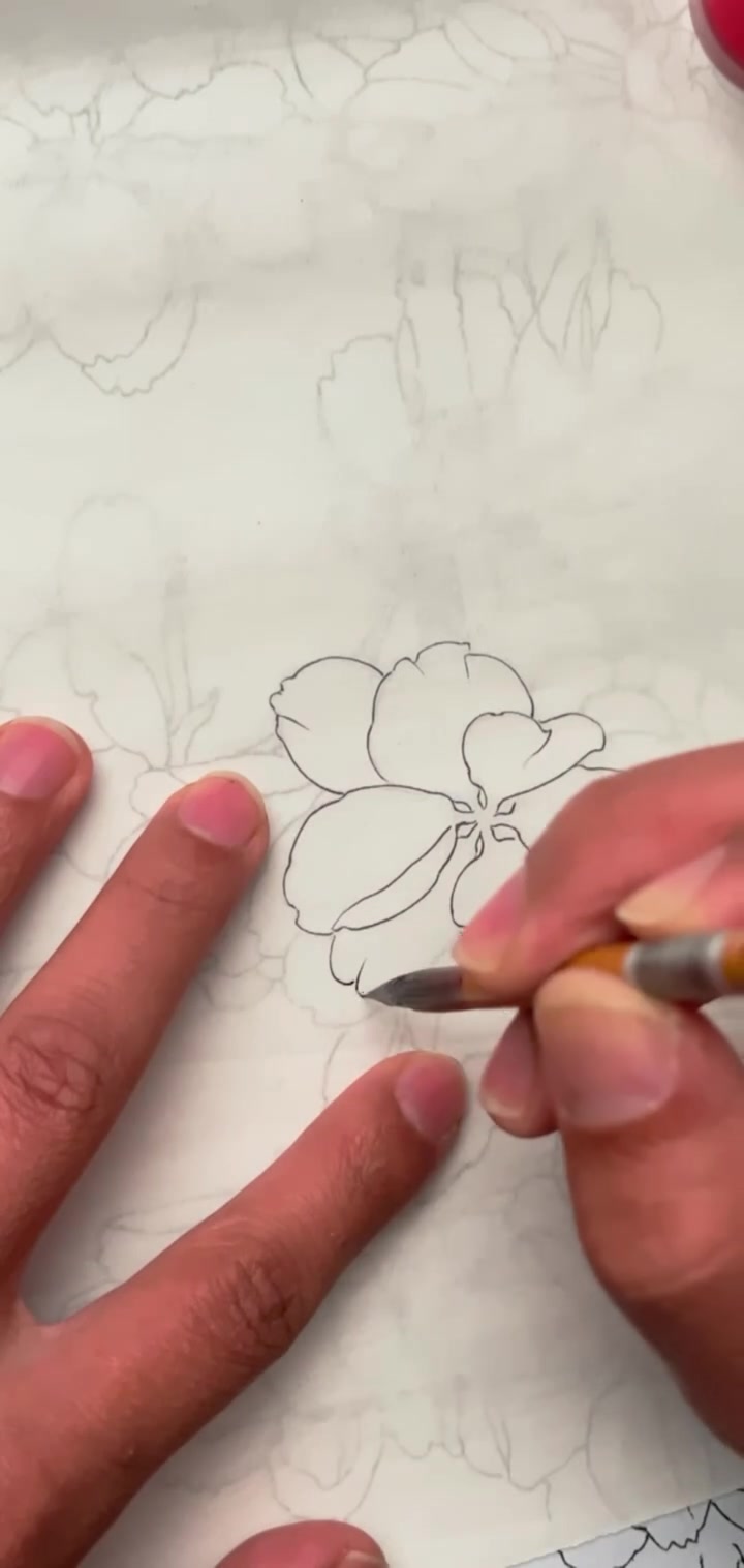工笔画樱花终于可以开始上色了,喜欢的点赞评论关注!这幅画每一步都会在直播间画!感谢