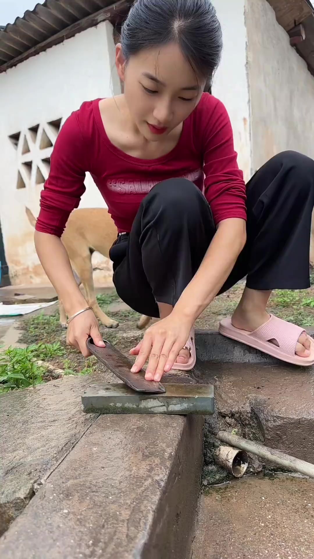 吃生态大草鱼,做气质小女人!