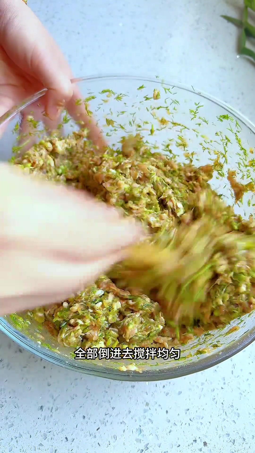 茴香馅儿的饺子太香了