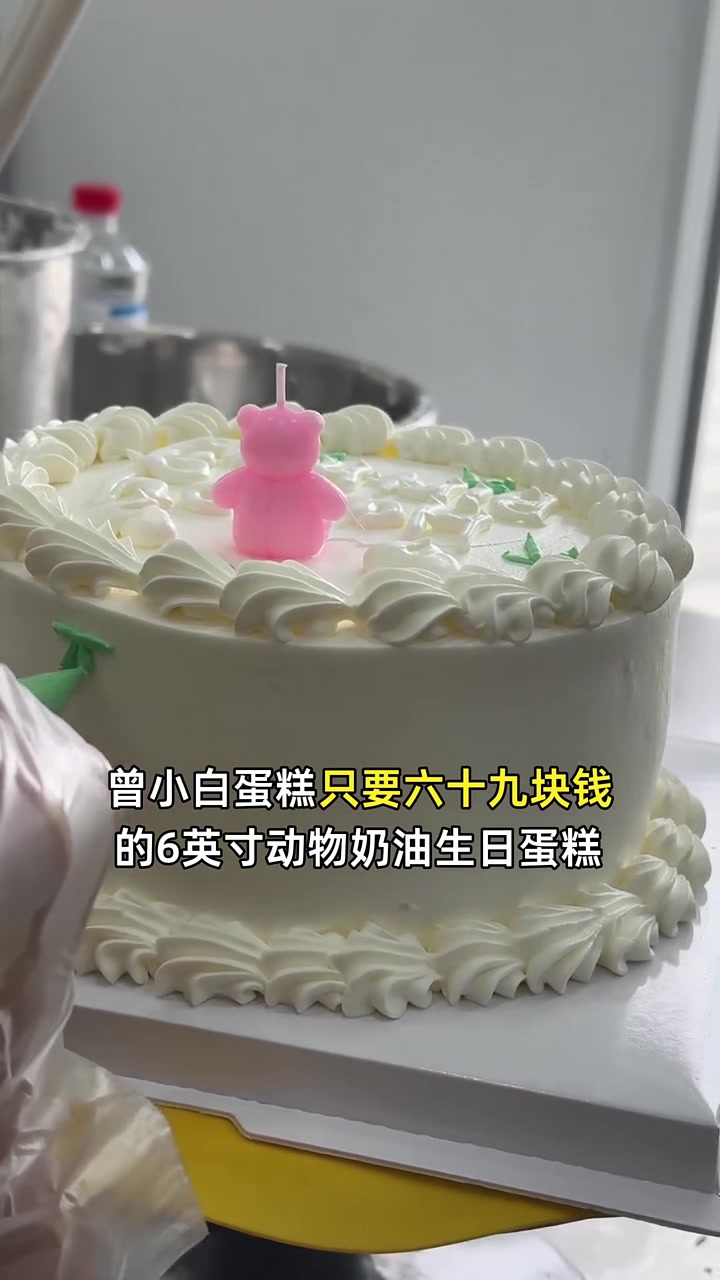 囤货狂喜!六十九元尽享六寸动物奶油生日蛋糕,自然果香,奶油细腻,手慢无!生日蛋糕 奶油细腻