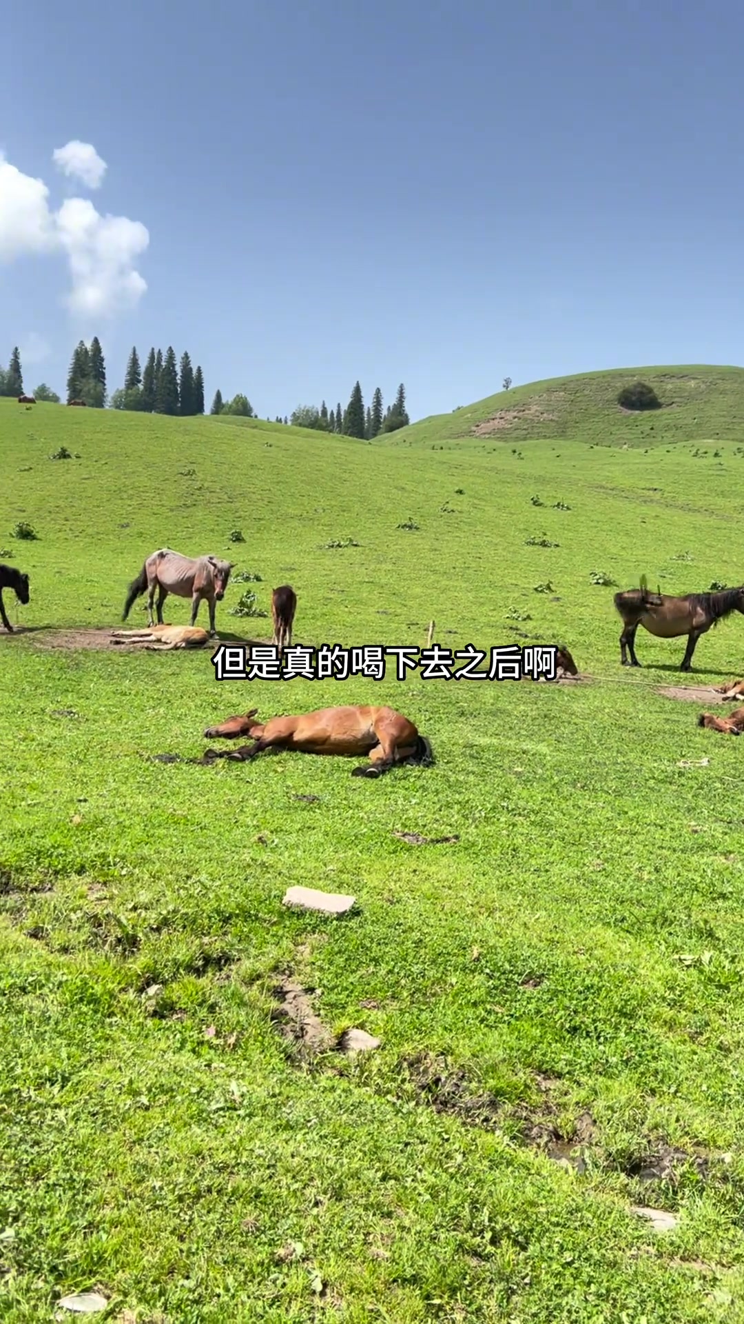 各地早餐都不一样,你们那里早上吃什么?
