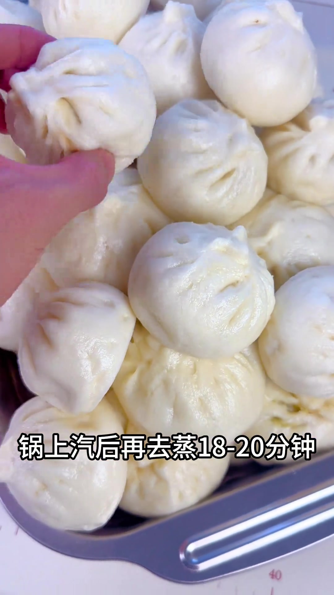 今天分享茄子包子做法，从和面到调馅
