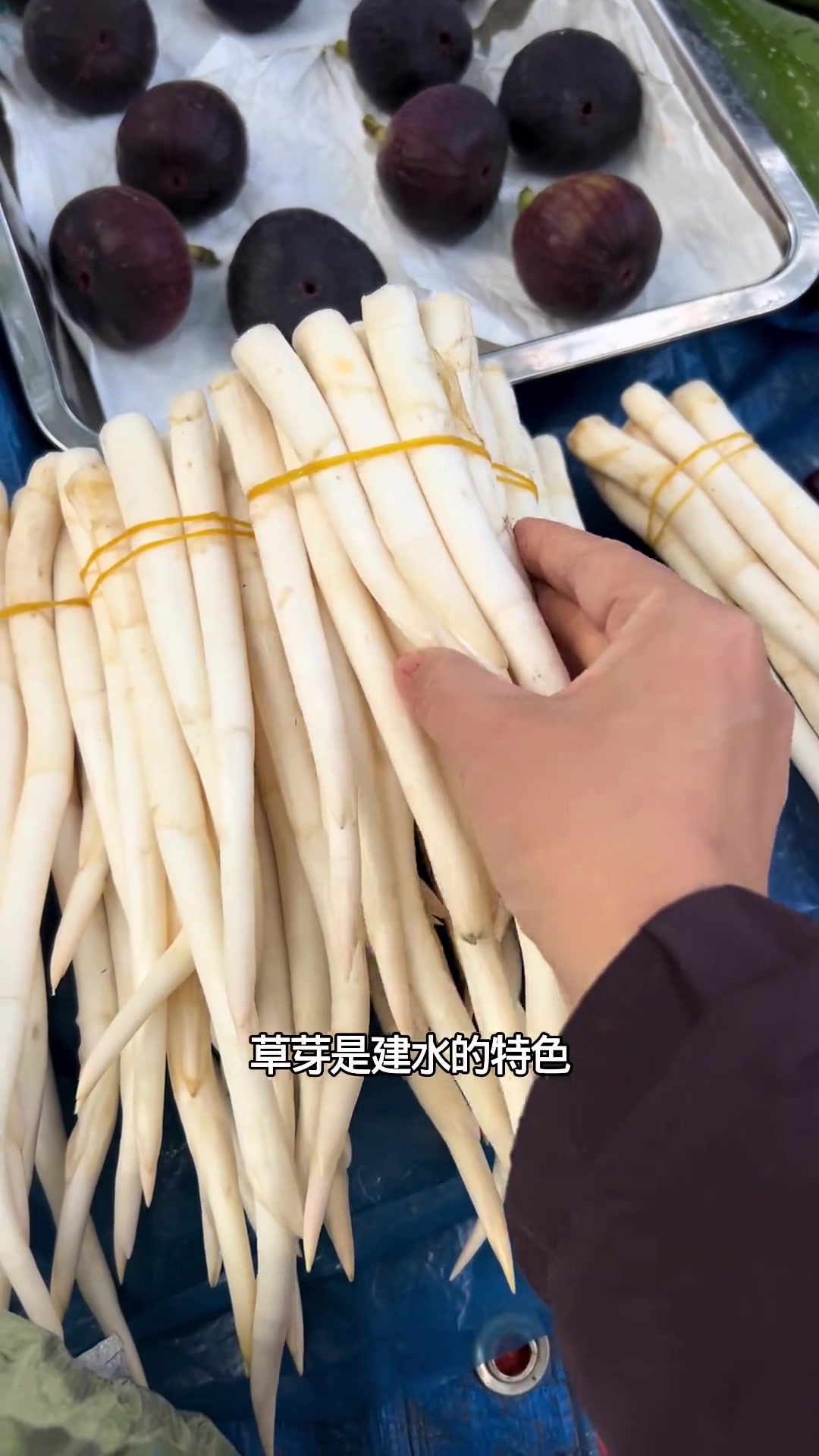 云南冬天市场里,竟藏着这么多特色菜!