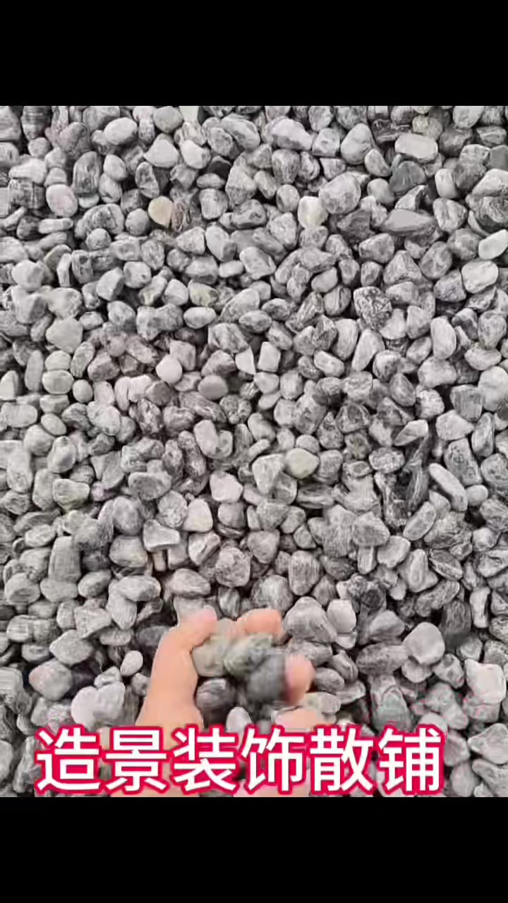 造景铺路用灰色鹅卵石