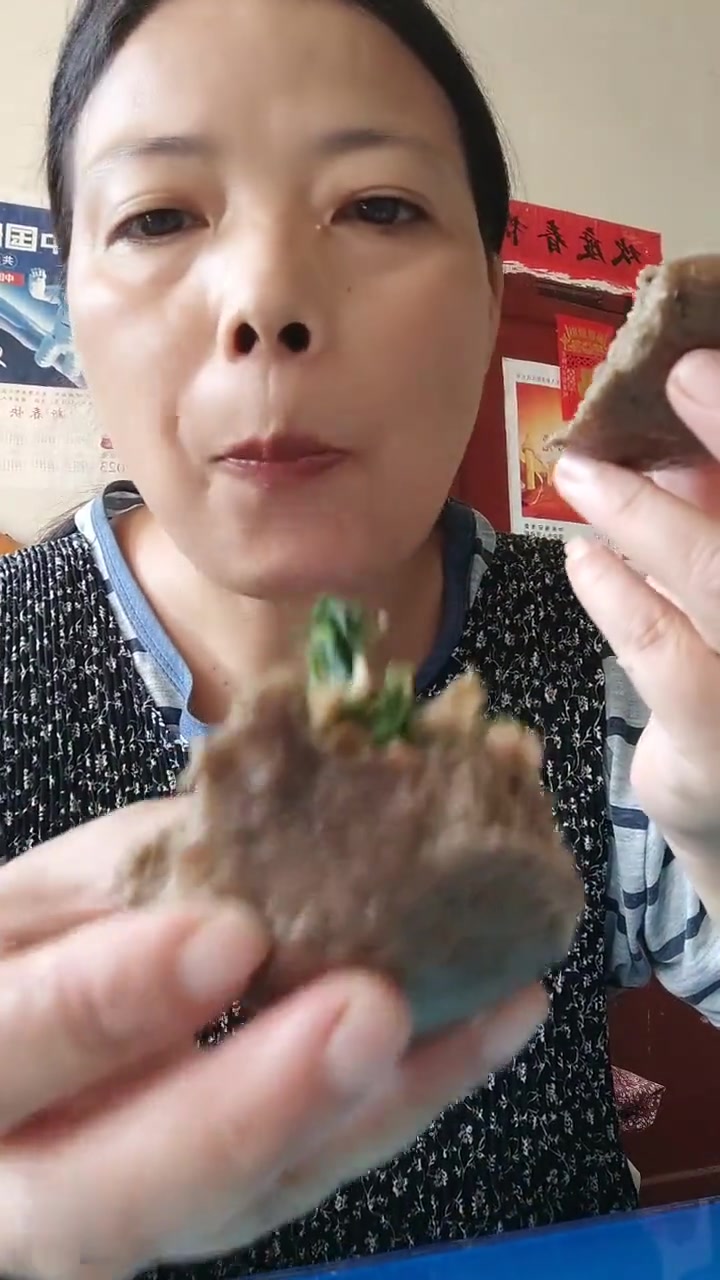 荞麦面碱蓬菜肉包子出锅了