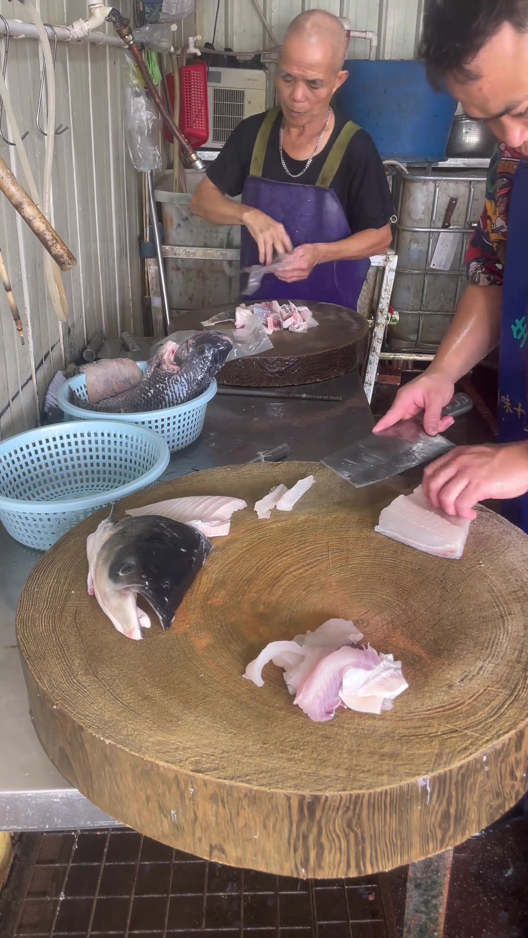 半边大头鱼臭肉粒,卡通鱼肉真是鱼肉!