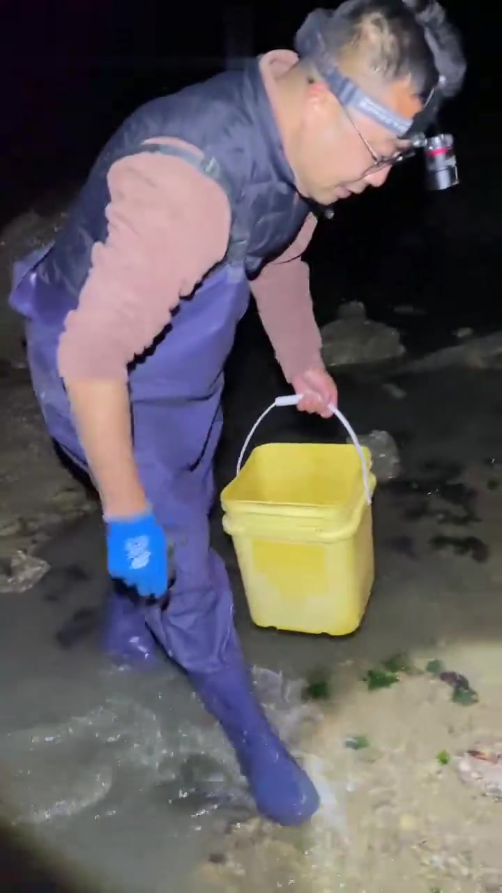 赶海狂抓八爪鱼,回家直接炫饺子,太过瘾!