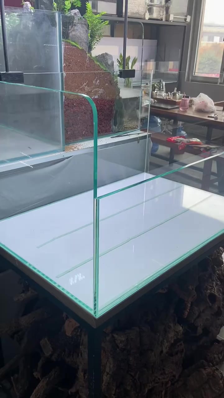 如何在家也能手搓一个生态乌龟造景缸，来看看我们小姐姐是如何给客户手搓造景缸的吧@水屿景观张