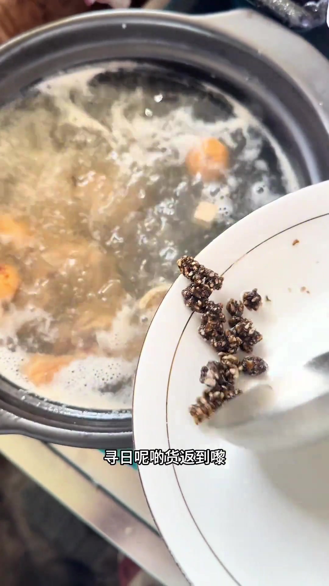 昨天上噶猫爪草今日马上煲比啊君姐饮！
