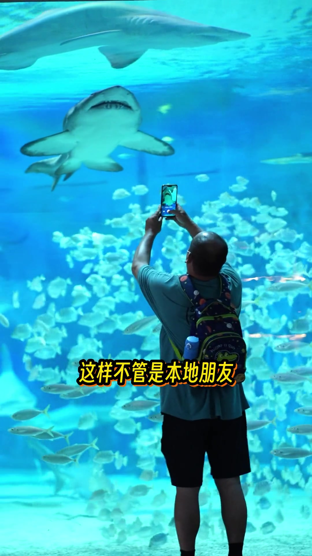 北京海洋馆的原生鱼，藏着哪些科普小知识