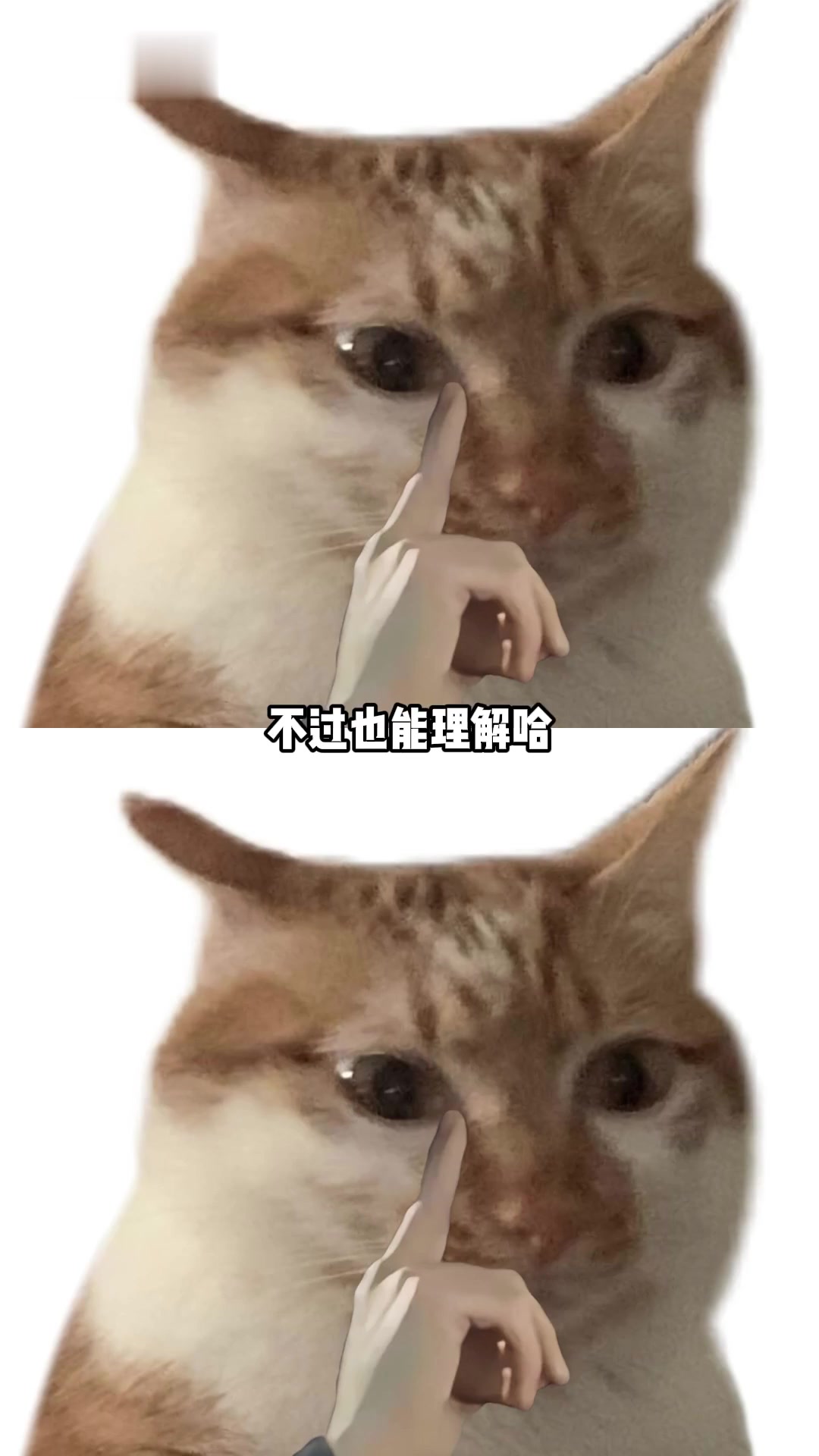 深海里有什么真实存在的,海洋生物与深海鱼