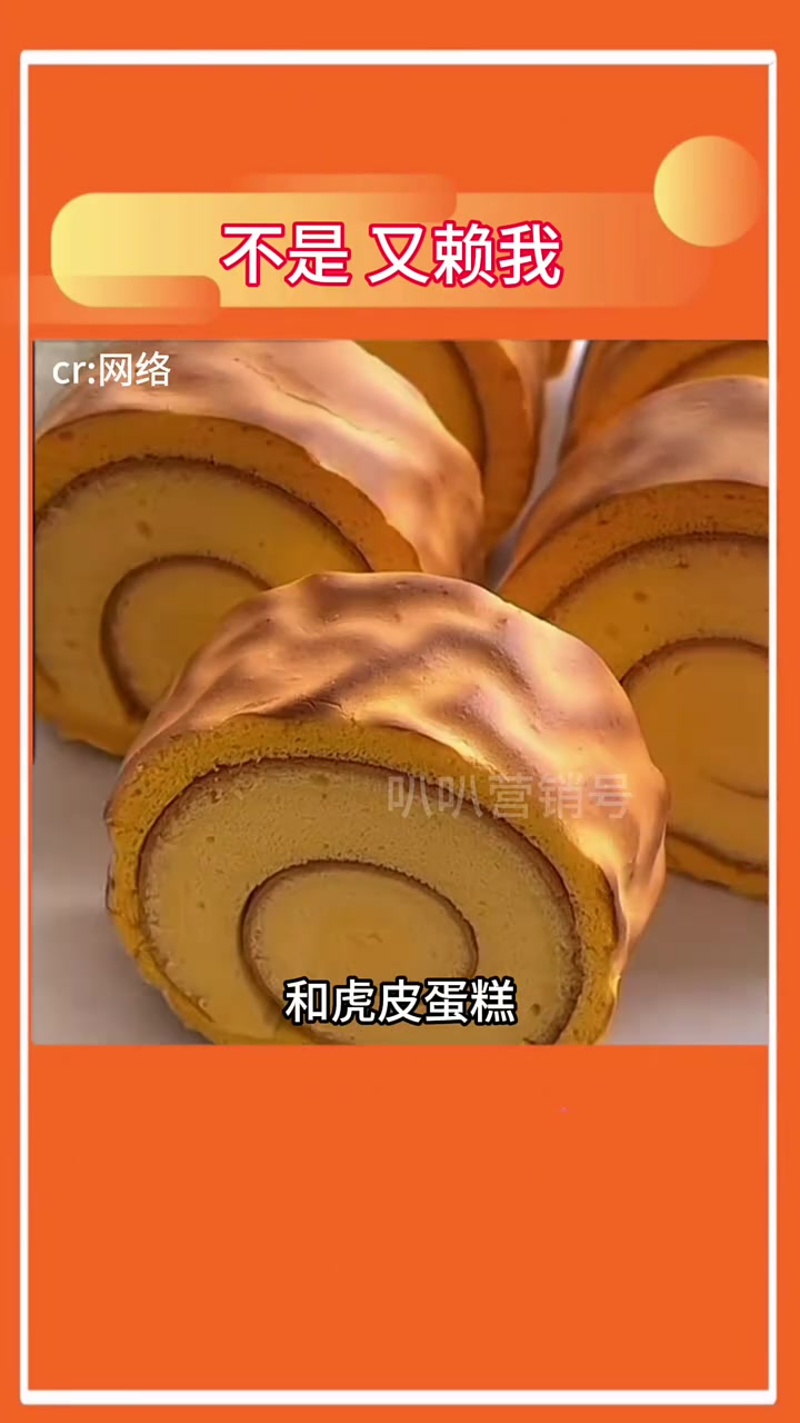 这辈子除了鸡鸭鱼肉 对得起所有动物