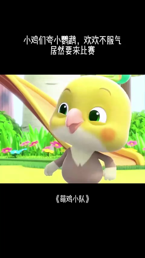 萌鸡小队:小鸡们夸小鹦鹉,欢欢不服气,居然要来比赛