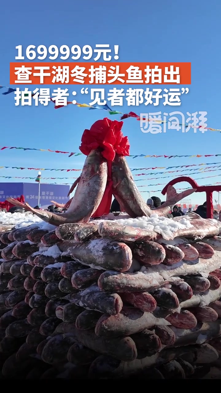 1699999元！查干湖冬捕头鱼拍出，拍得者：“见者都好运”