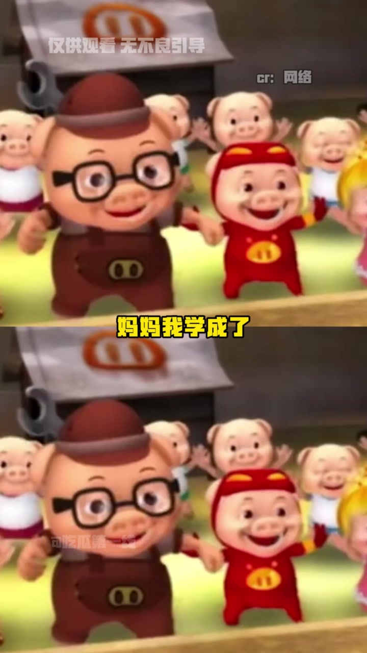 可以买回去给自家咪看