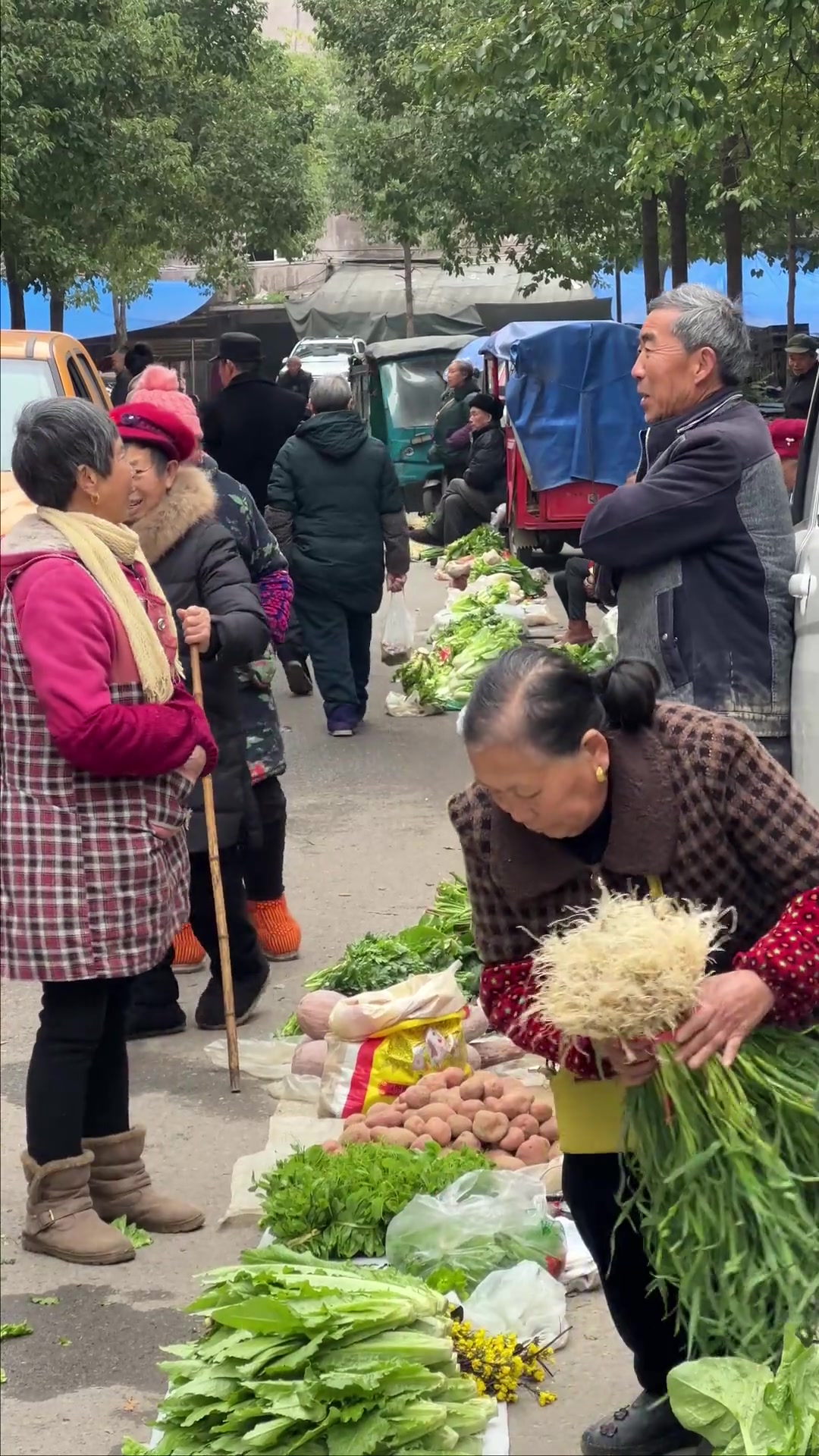 背了一背兜雀雀菜来麻旺赶场，被婆婆一个人都买完了
