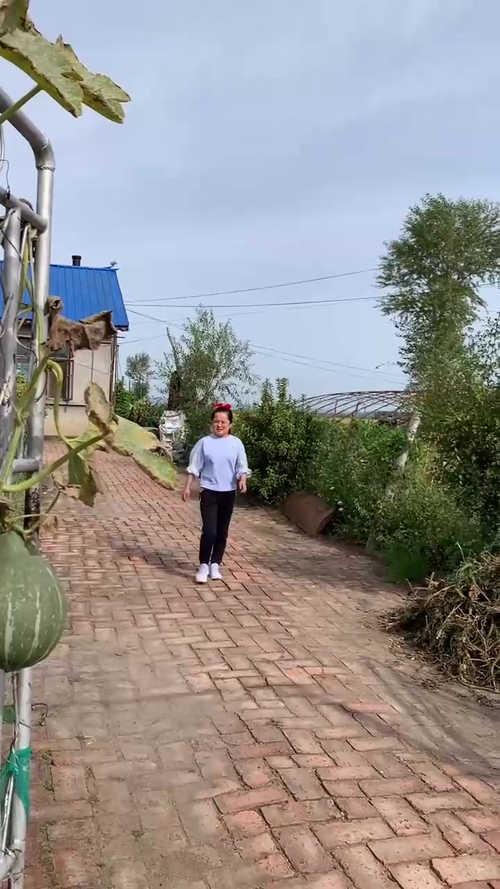 东北农村酒席，你看如何？