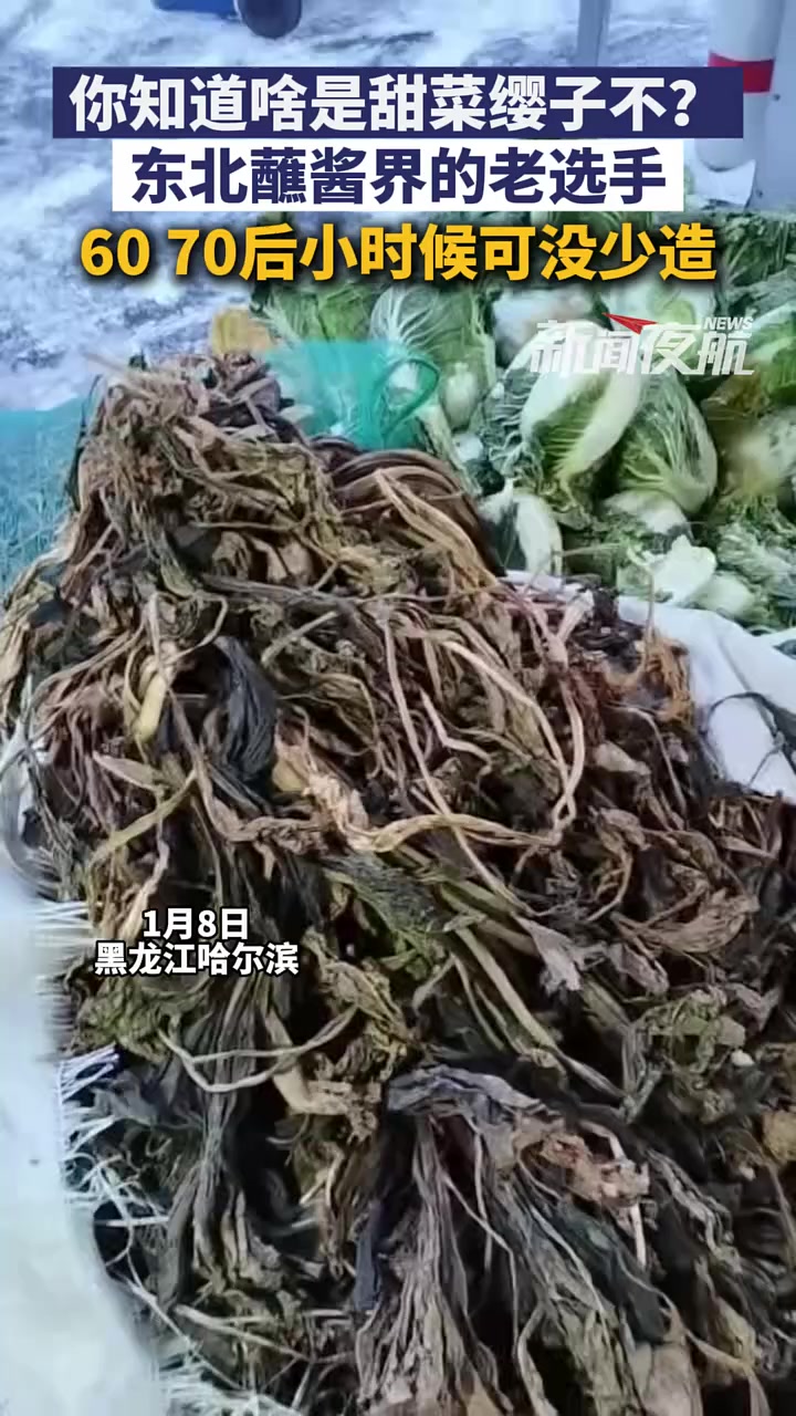 1月8日,黑龙江哈尔滨。你知道啥是甜菜缨子不?东北蘸酱界的老选手,60 70后小时候可没少