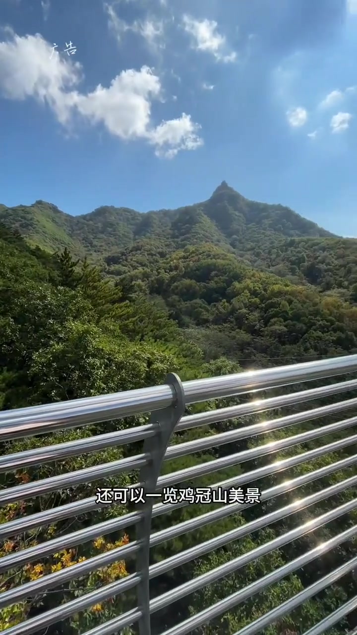 十月假期回来鸡冠山吧