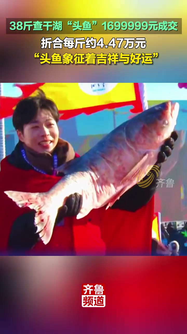 38斤查干湖“头鱼”1699999元成交，折合每斤约4.47万元