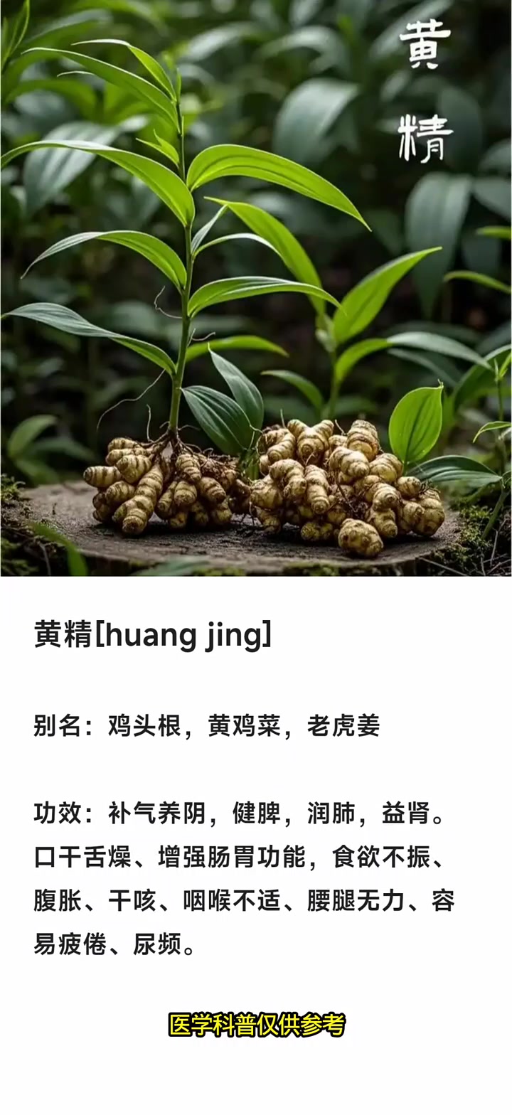 黄精：别名这么多，作用也不少！