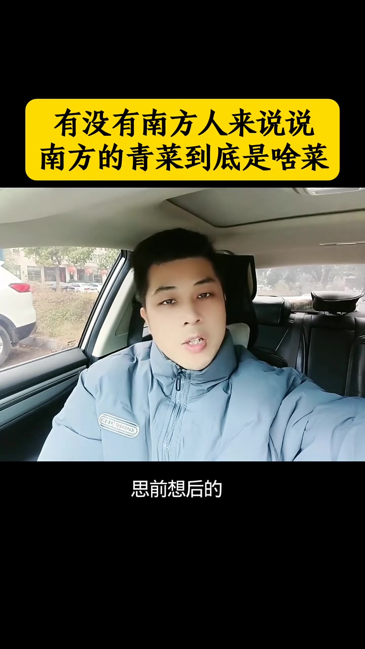 有没有南方人来解答南方青菜到底是啥菜