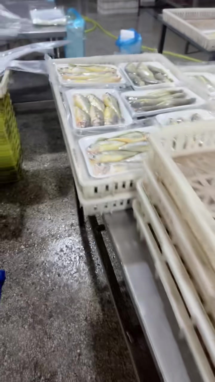 本地油花鱼,车间加工中