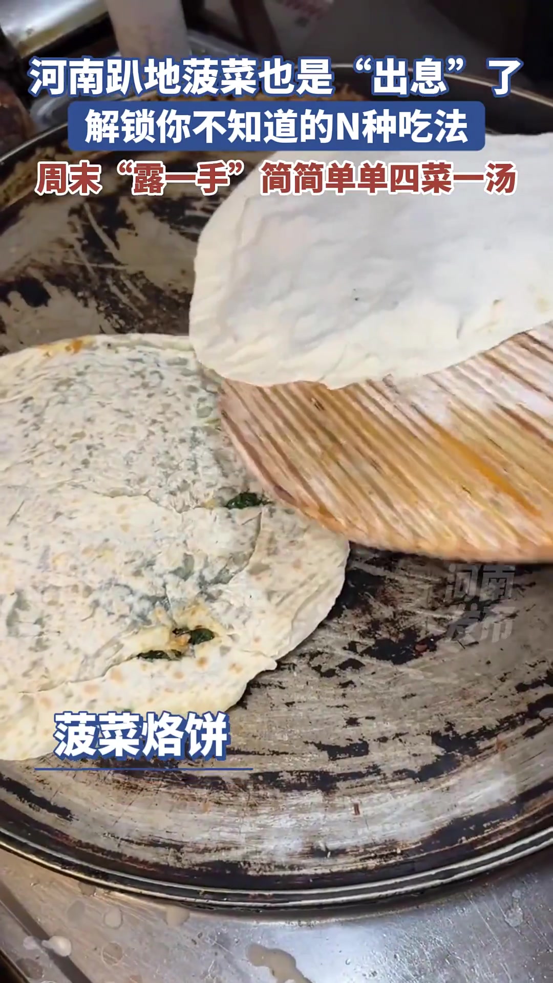 河南趴地菠菜也是“出息”了，解锁你不知道的N种吃法！周末“露一手”简简单单四菜一汤