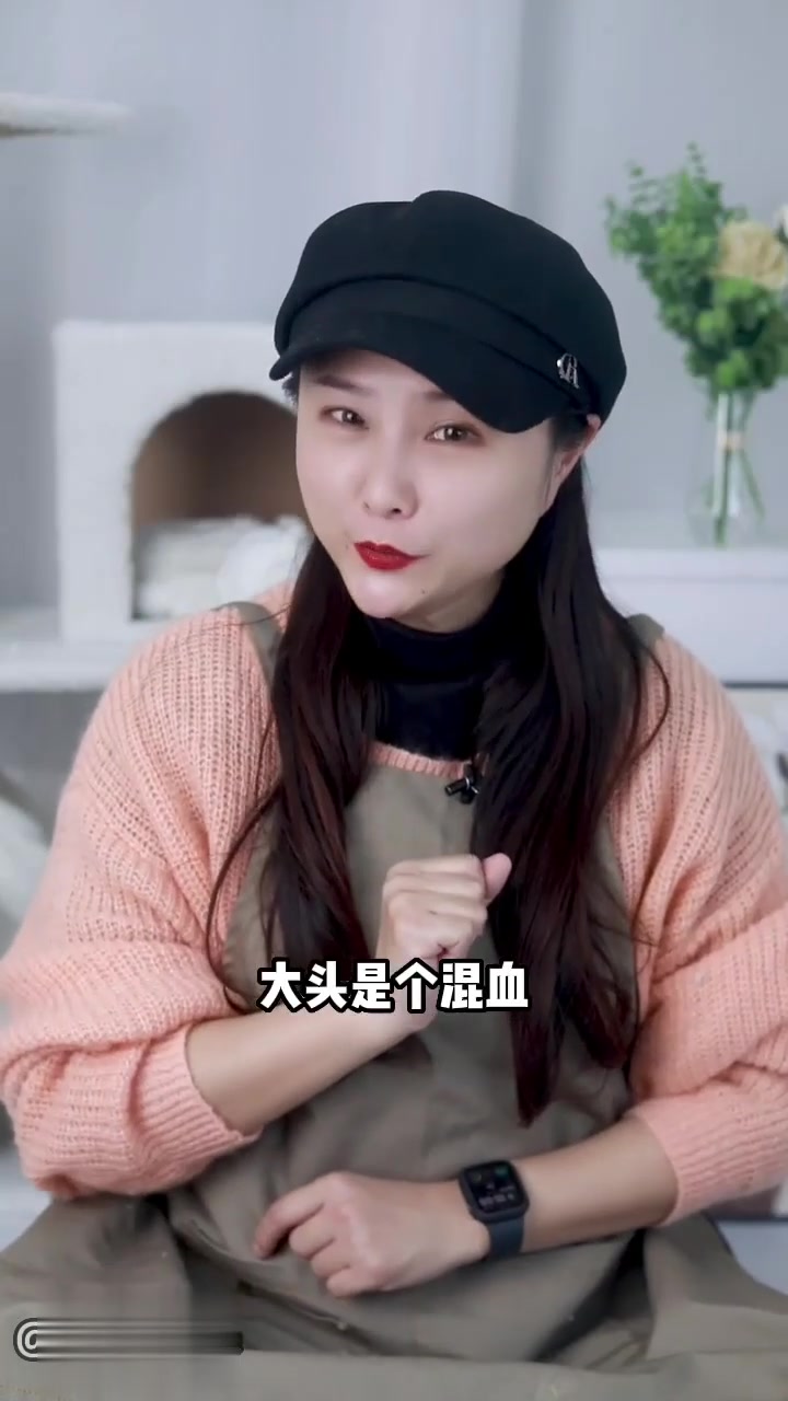这些网红猫咪表情包，你肯定用过！你都知道它们是谁吗？