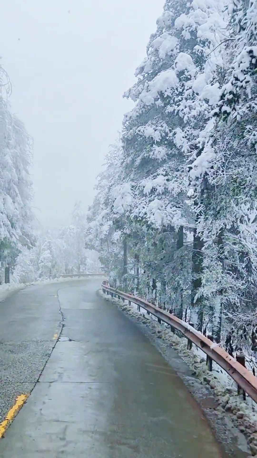 崇州鸡冠山的雪景封神了