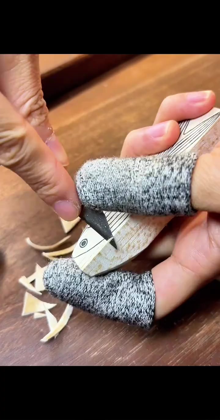 「小木鱼-长鳍斑马鱼」
