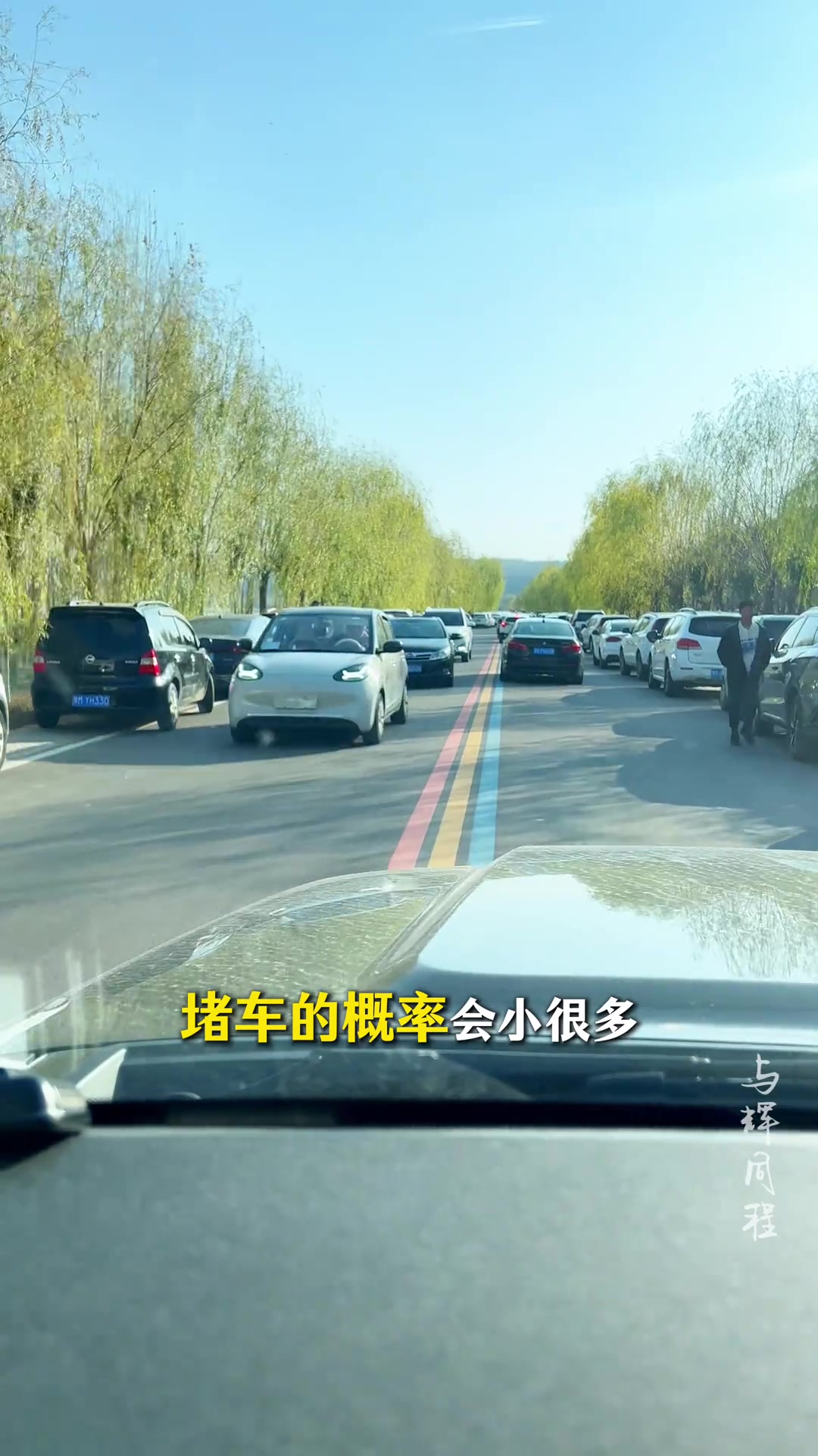 避开人潮！三门峡3个免费天鹅观赏地攻略