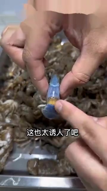 咱就是说，泸沽虾为啥有一股子洗衣粉味儿