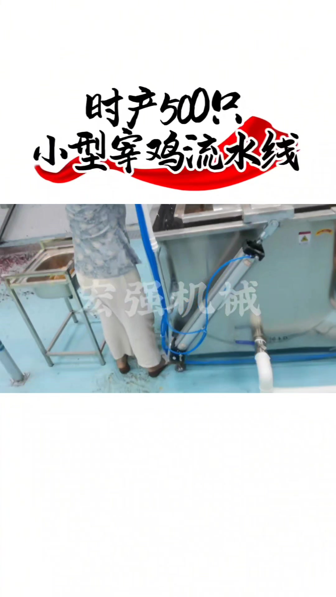 全自动小型杀鸡流水线设备
