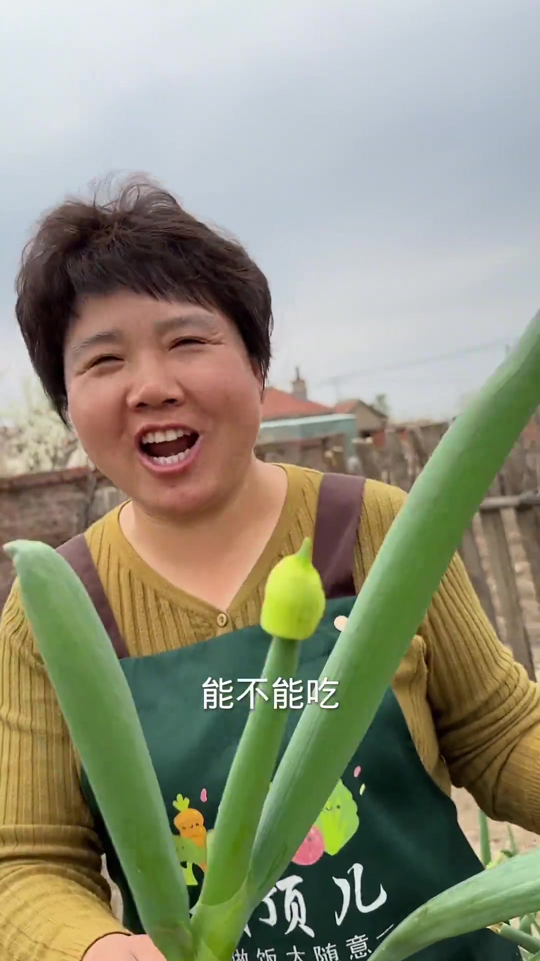 豆角盖被、酱焖大岛子鱼、大葱蘸酱