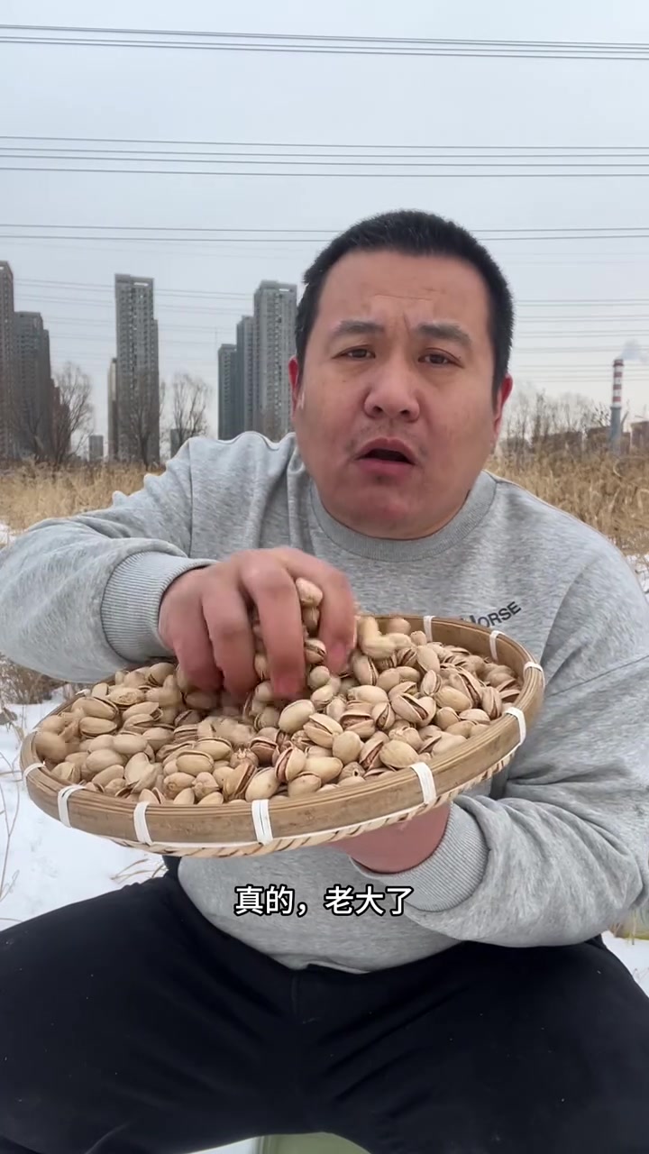 开心果!特大粒原色无硫开心果!