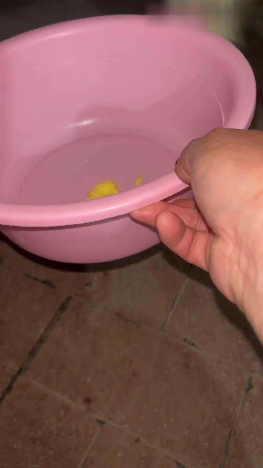 一只挑食的小狗