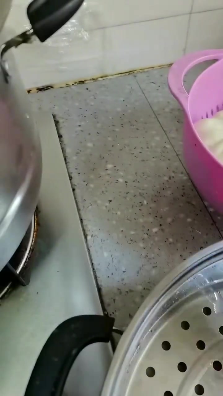 今天在家做萝卜馅包子,剩下的馅儿包成饺子也好吃