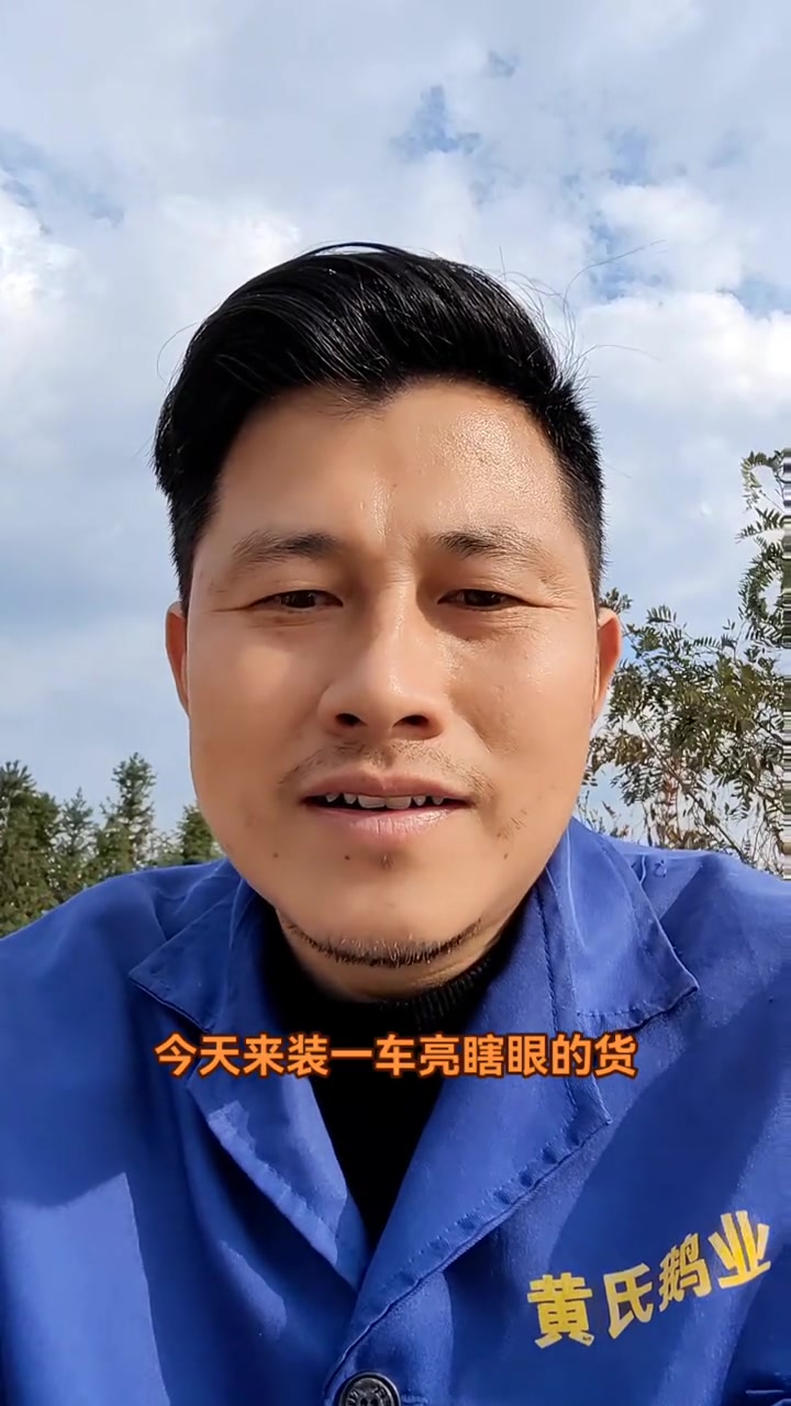 最美霍尔多巴吉鹅