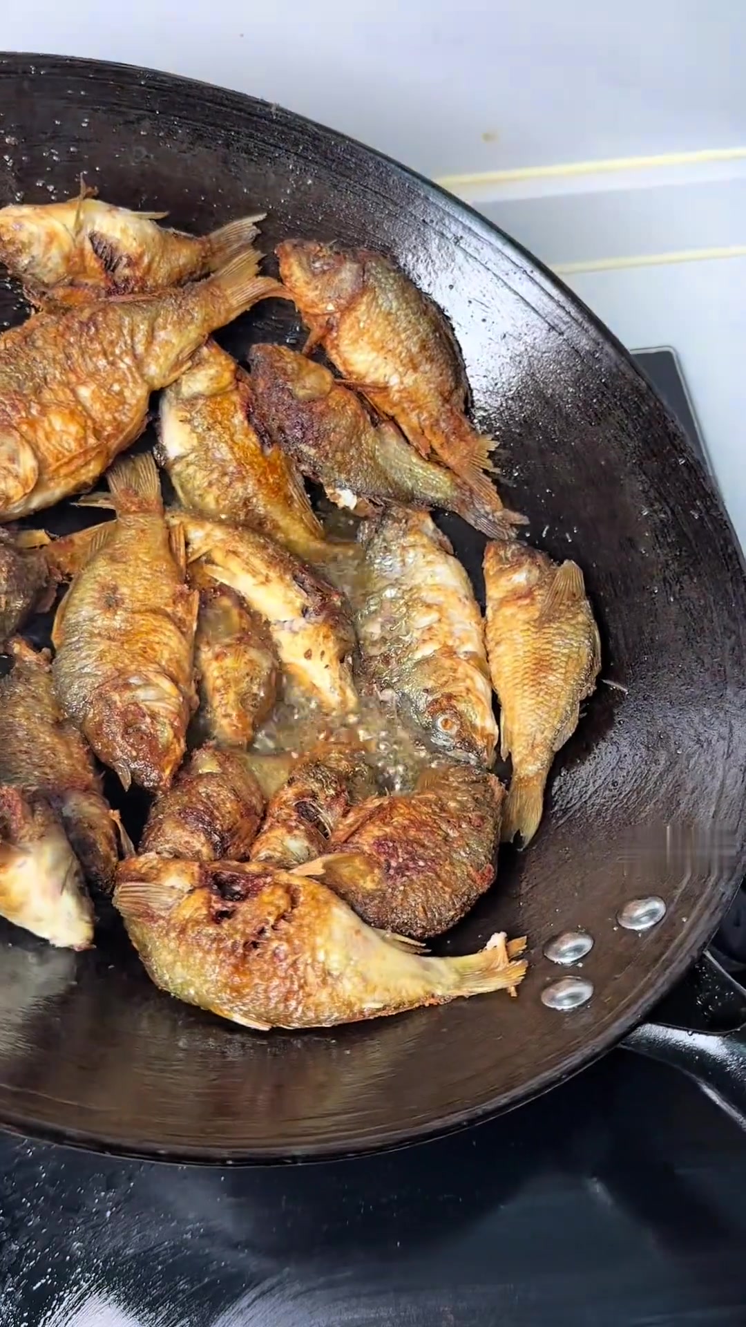 跟曹师傅下乡抓禾花鱼,记录农村美食生活