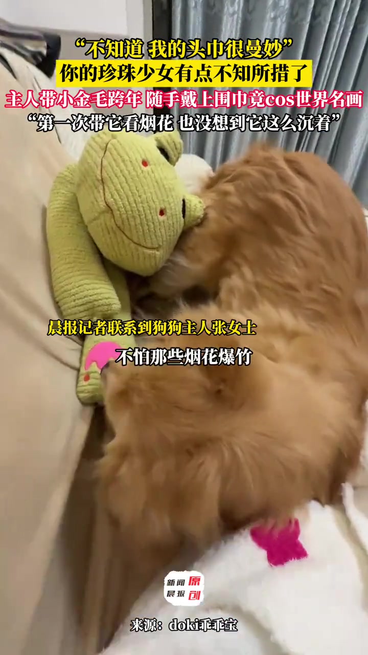 你的珍珠少女有点不知所措了 主人带小金毛跨年 随手戴上条围巾竟然cos世界名画 画面重点太