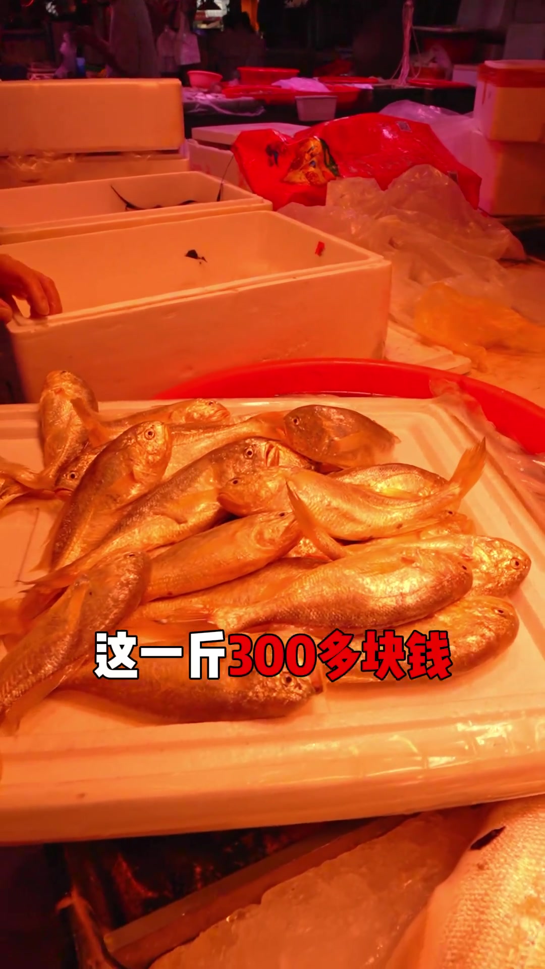 潮汕人为何常吃这类海鱼？这些海鱼你认识吗？