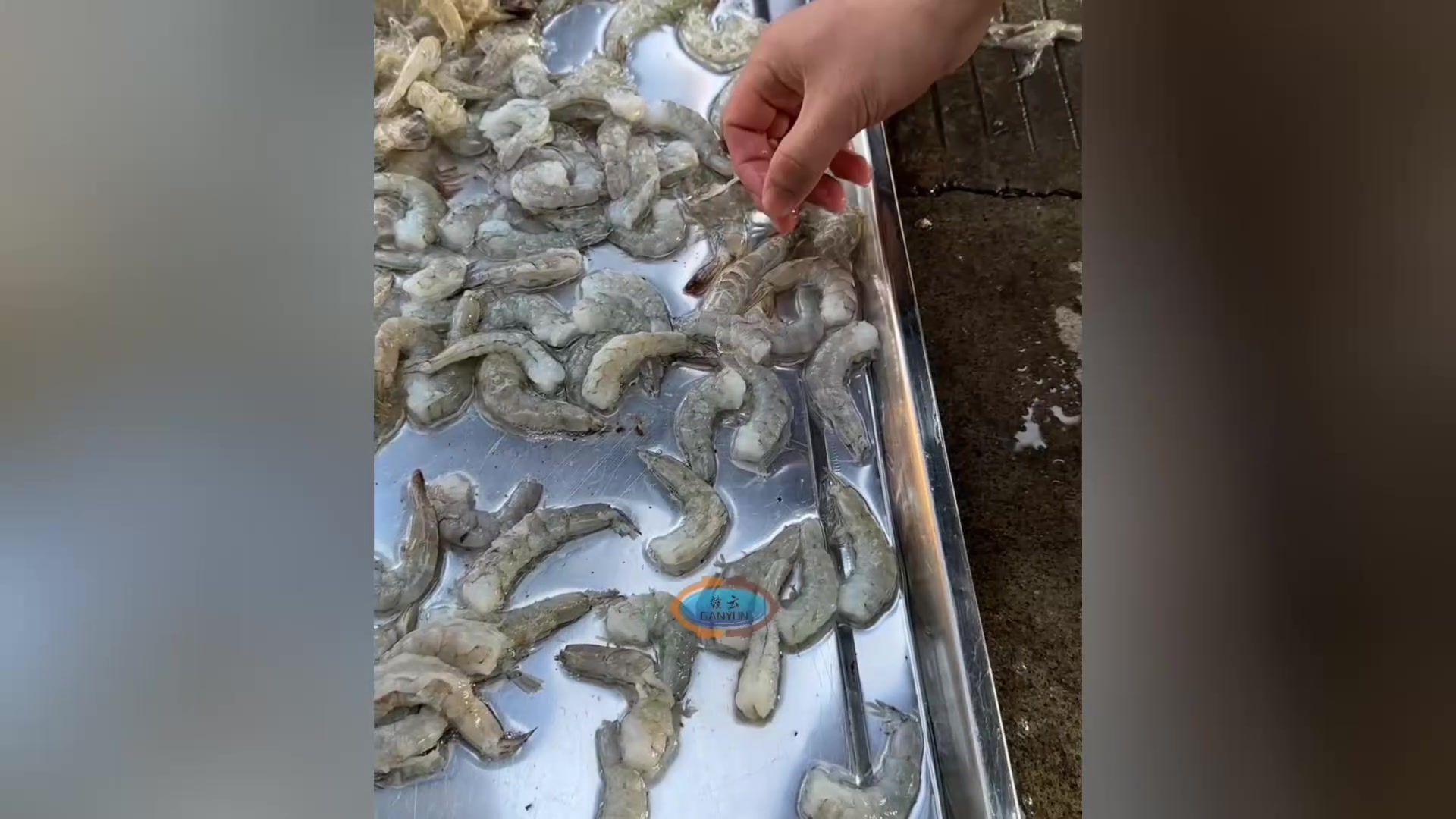 开虾背去虾壳剥虾机器