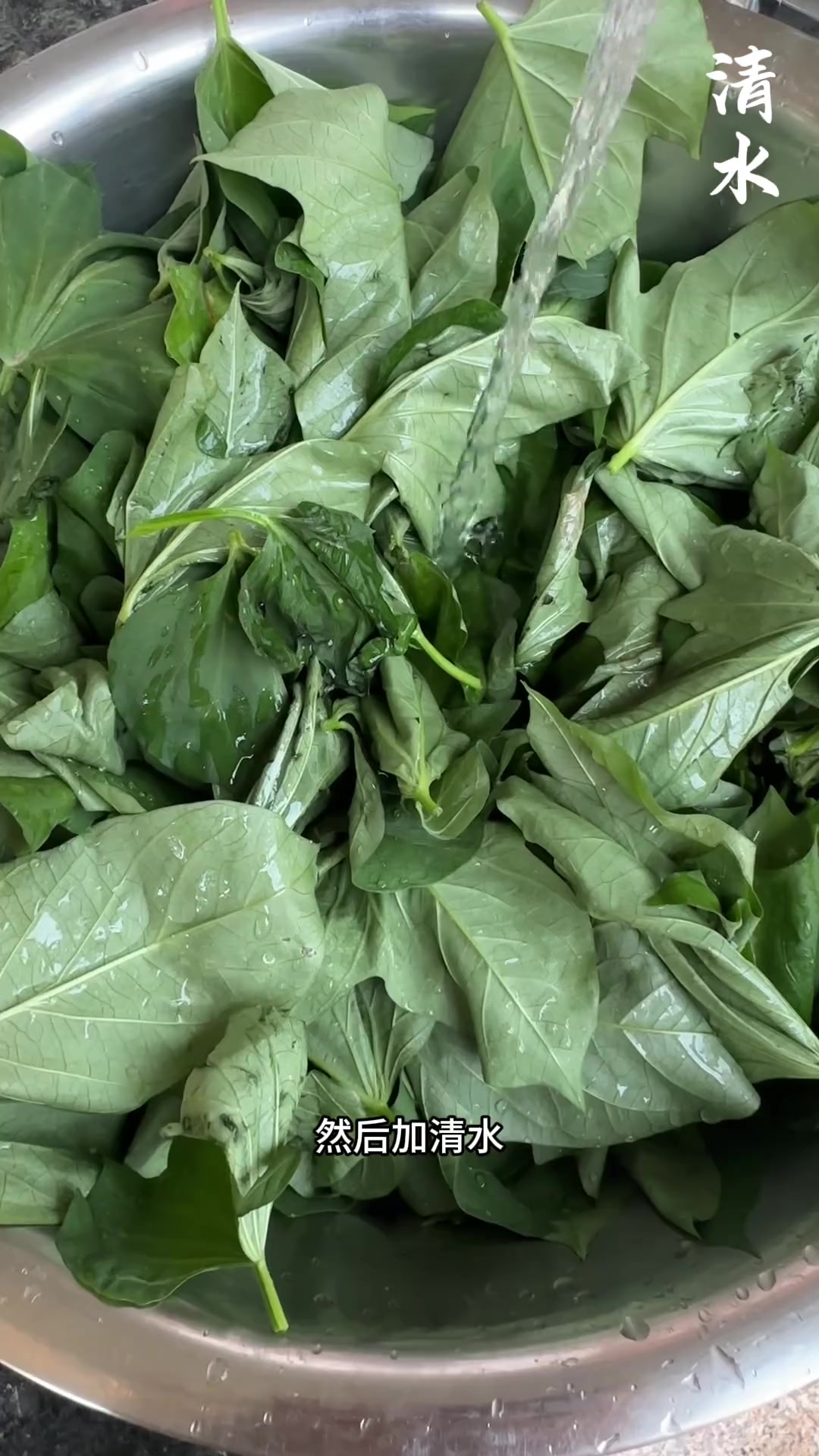 亮奶奶教你做无滴水红薯叶窝窝头，软糯绝了！